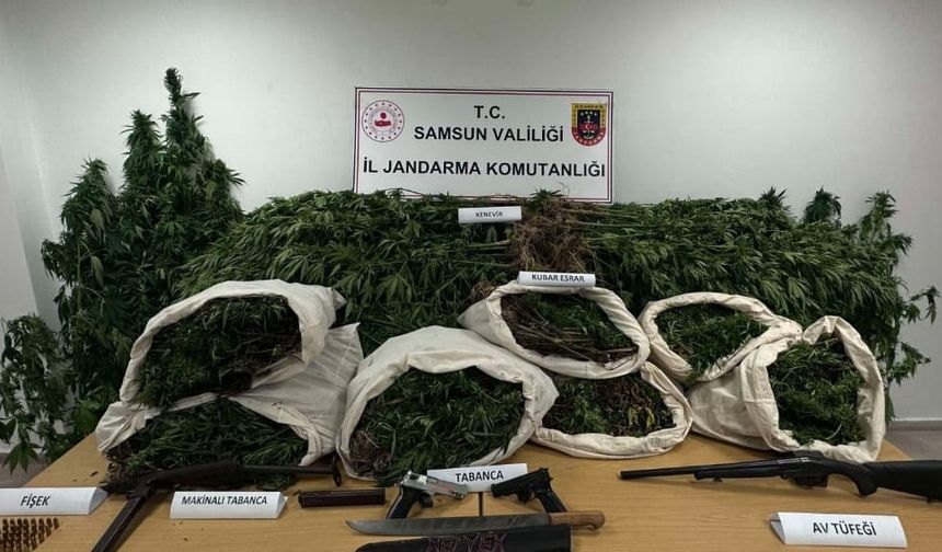 Samsun’da jandarma 33 kilo kubar esrar ele geçirdi: 2 gözaltı