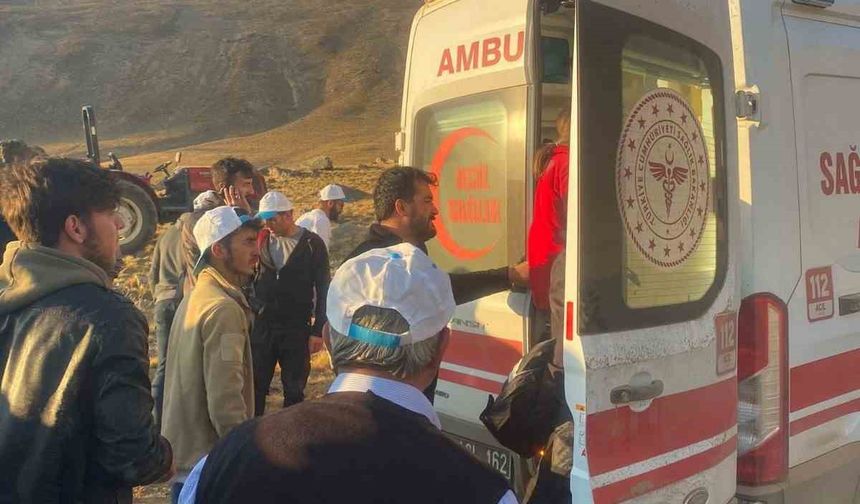 Şehitler anısına vefa yürüyüşü yapan gruba ayı saldırdı: 1 kişi yaralandı