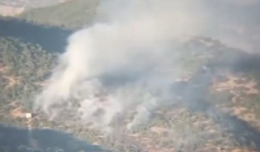 Tunceli’de çıkan orman yangını kontrol altına alındı