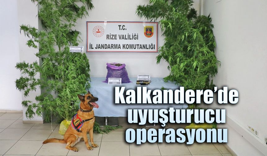 Kalkandere'de uyuşturucu operasyonu!