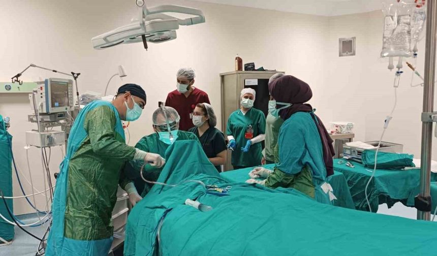 Ahlat Devlet Hastanesinde ilk kez tonsillektomi ameliyatı yapıldı