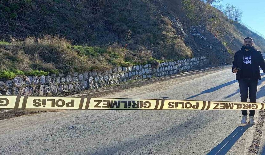 Bitlis’te toprak kayması