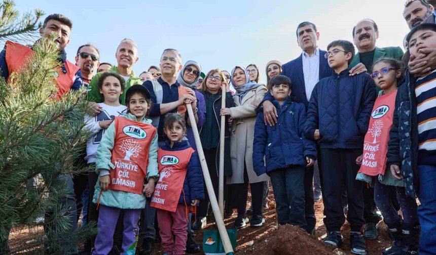 Büyükşehir, yeşil şehir için Yamaçtepe’de ağaç dikti