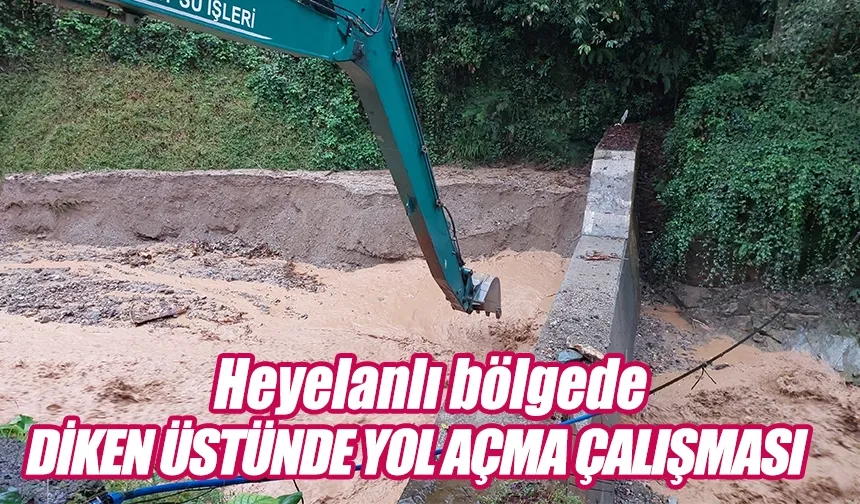 Çayeli'ndeki heyelanlı alanda diken üstünde temizleme çalışması