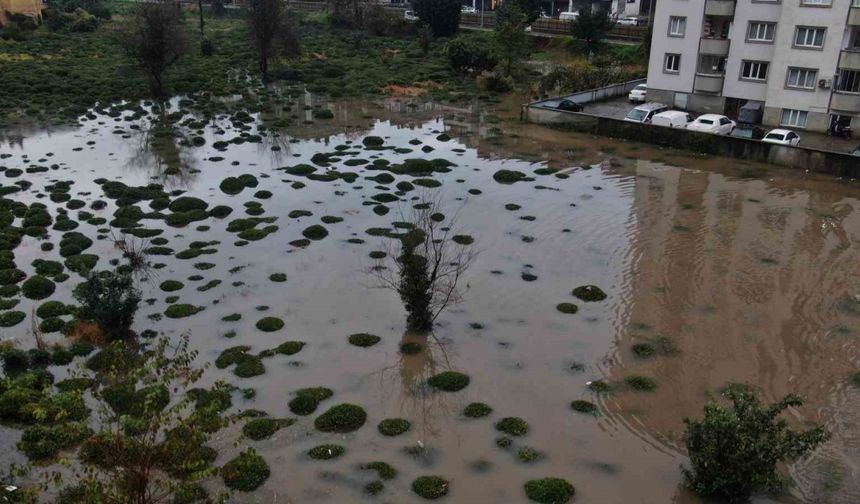 Rize’deki şiddetli yağıştan çay bahçeleri de nasibini aldı