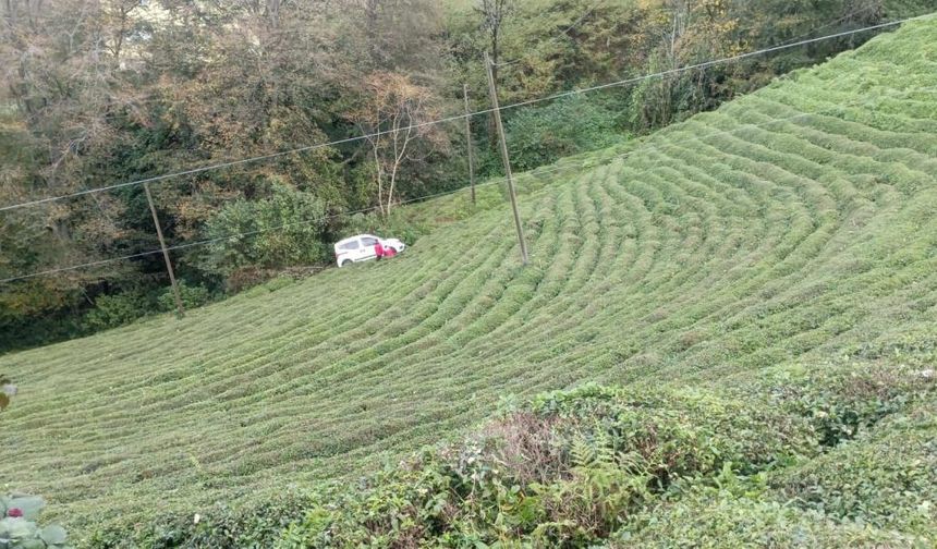 Rize’de araç çay bahçesine yuvarlandı