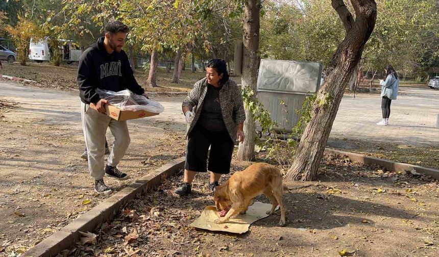 Osmaniye’de sokak hayvanları için doğaya yem bırakıldı