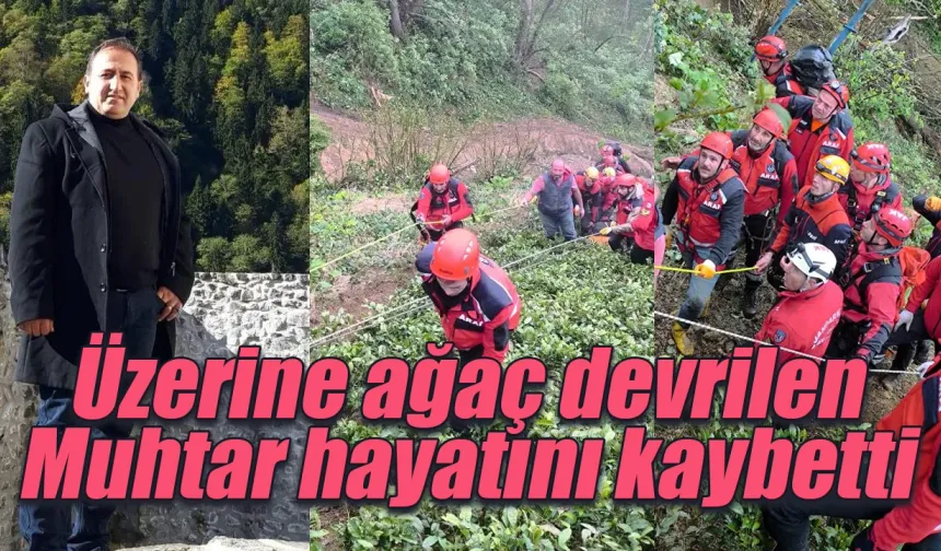 Rize'de üzerine ağaç devrilen muhtar hayatını kaybetti