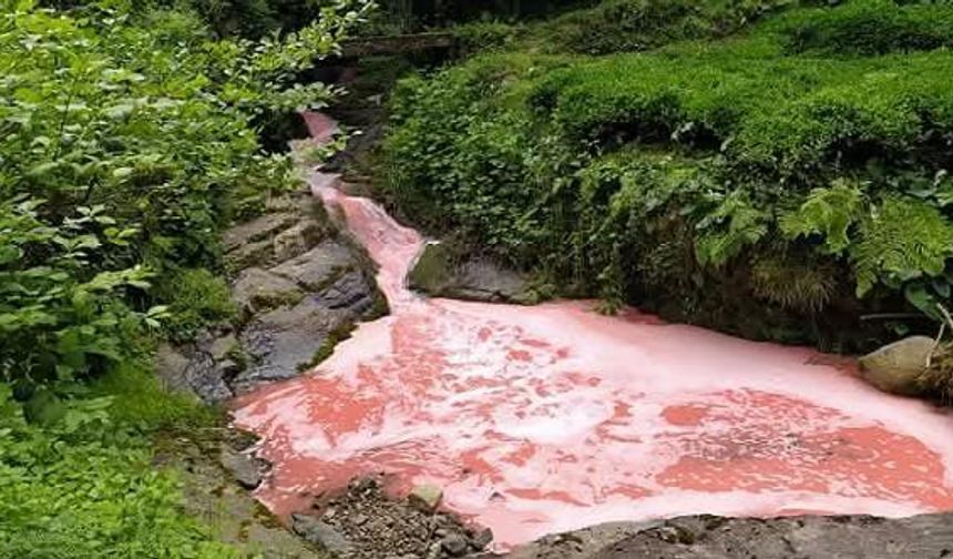Rize'de kırmızı derenin sırrı çözülemedi