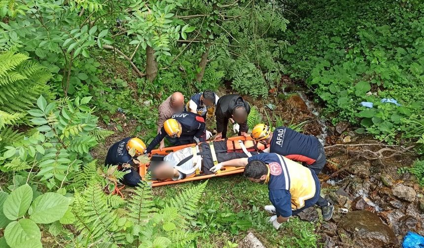 Rize'de arazide ağaç keserken yaralanan adamı ekipler kurtardı