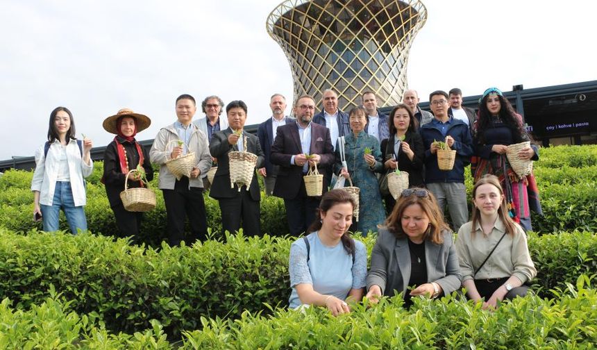 Çin’den gelen akademisyenler Rize’de çay topladı