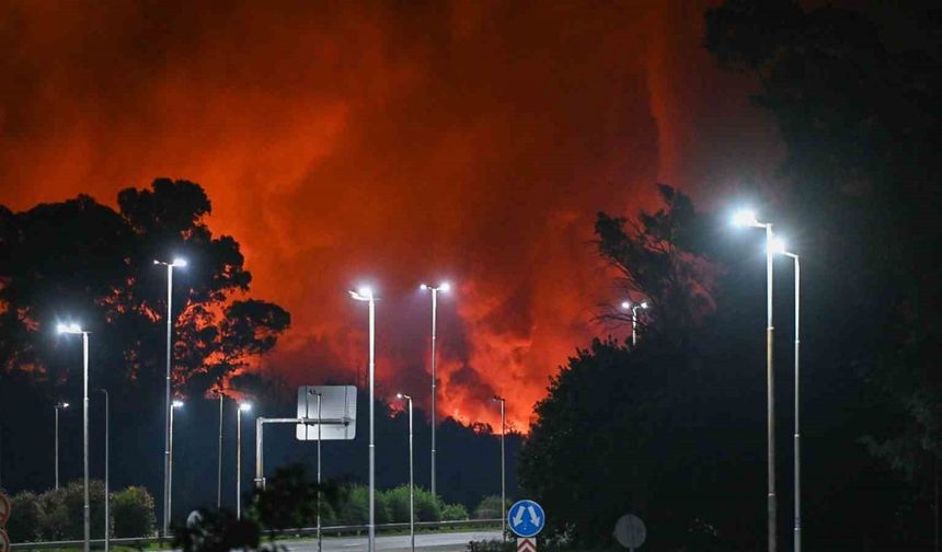 Arjantin’de sanayi bölgesinde şiddetli patlama: 22 yaralı