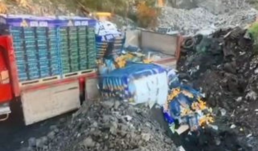 Sarp Sınır Kapısı’nda 6 ton mandalina imha edildi