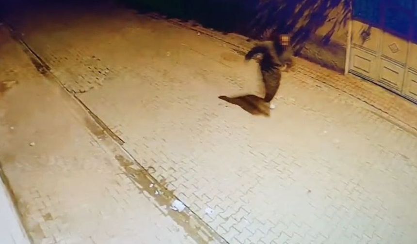 Adana’da evin camlarına taş atıp kaçtı: O anlar kamerada