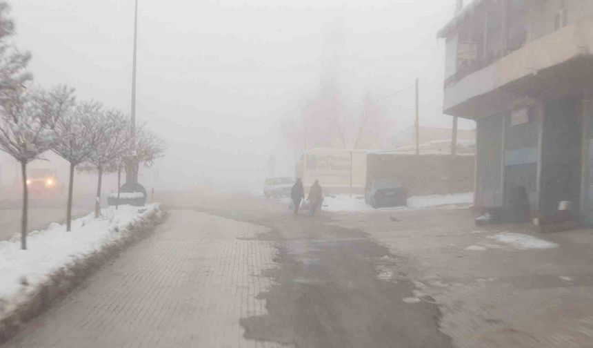 Başkale’de sis etkili oldu