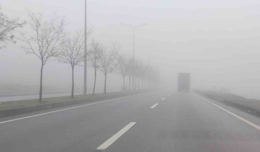 Bingöl’de yoğun sis etkili oldu