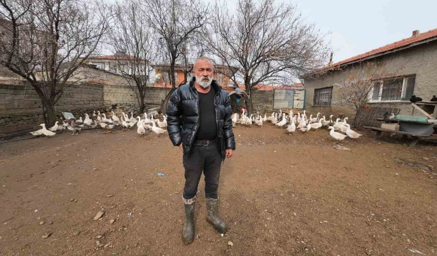 İstanbul’dan memleketi Yozgat’a döndü, binlerce hayvan üreterek geçimini sağlıyor