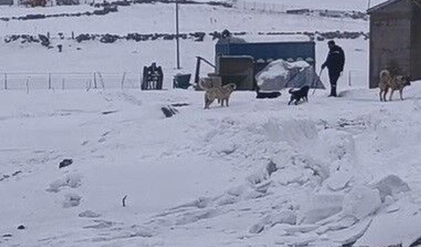 Kars'ın soğuğunda enerji mesaisi: Aras Edaş ekiplerinin soğukla imtihanı
