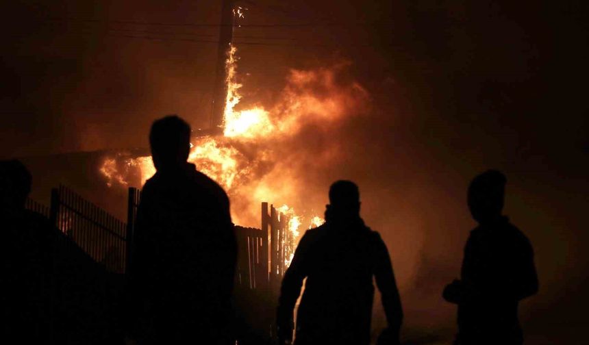 Şili'de orman yangını: 18 öü