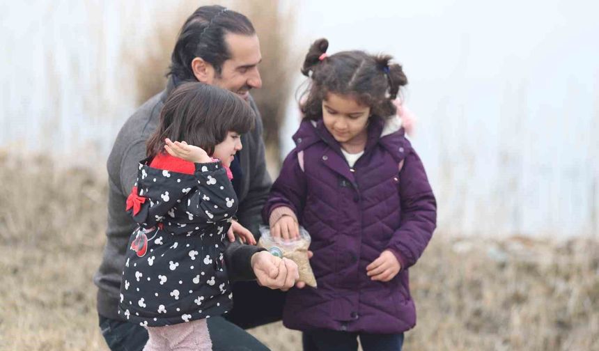 Iğdır'da kuşlar için yemleme ve gözlem etkinliği