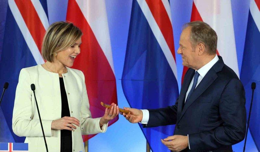 İzlanda, gelecek aylarda AB üyeliği müzakereleri için referanduma gidecek