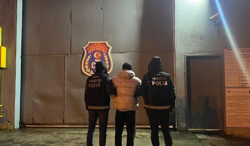 Artvin'de 1 milyon TL değerinde kokain ele geçirildi