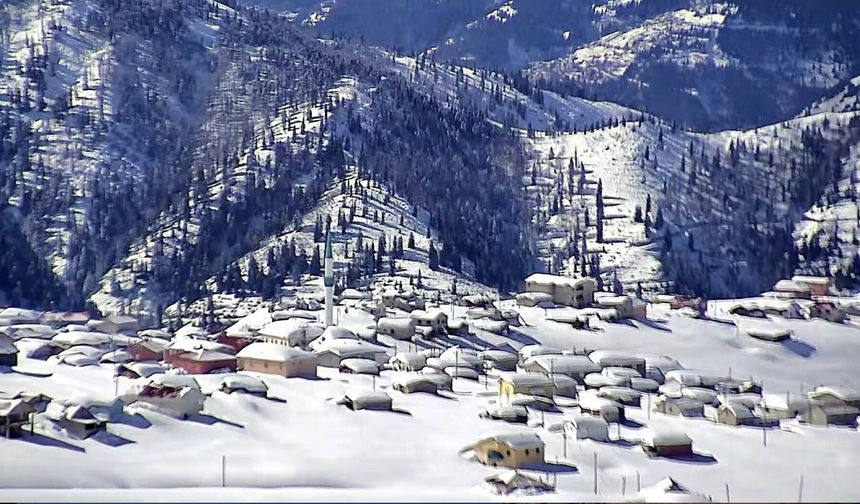 Rize'de kar şiddetini artırdı, eğitime ara verildi