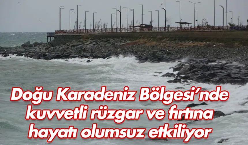 Doğu Karadeniz'de fırtına hayatı olumsuz etkiliyor