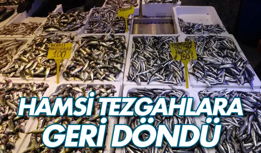 Hamsi bu defa şaşırttı: Tezgahlar yeniden şenlendi