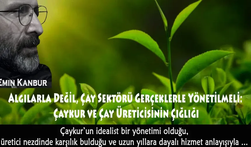 Algılarla Değil, Çay Sektörü Gerçeklerle Yönetilmeli
