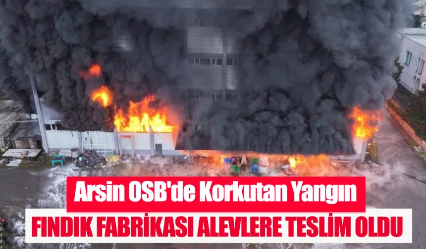 Arsin OSB'de fındık fabrikası alevlere teslim oldu