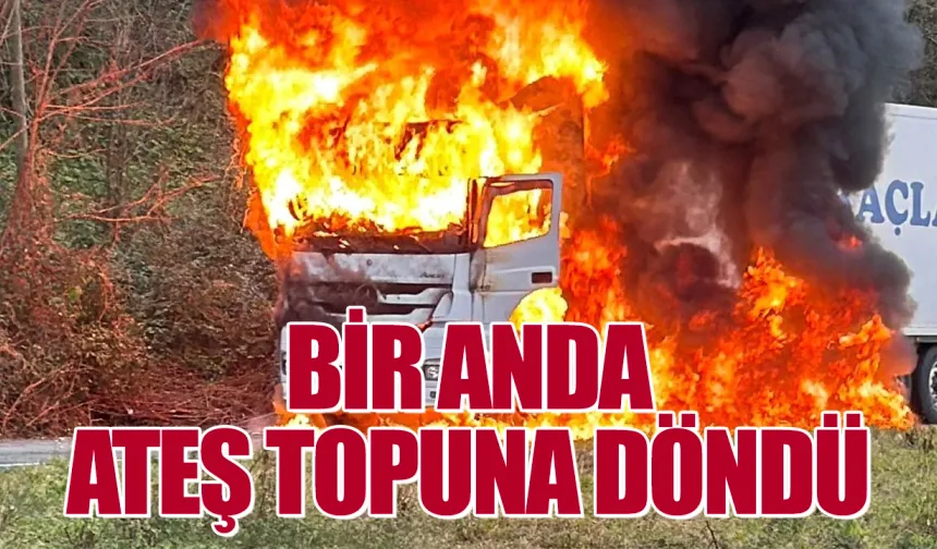 Rize'de arızalanan tır bir anda alev topuna döndü