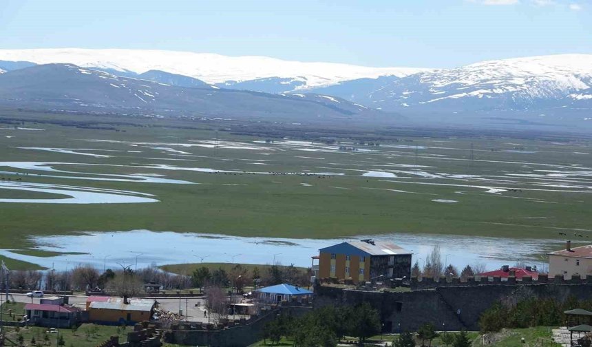 Ardahan'da Kura Nehri'nin debisi yükseldi