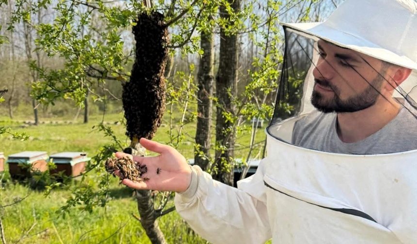 Arıcılara sahada destek