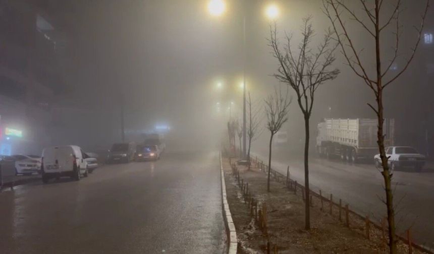 Besni'de sağanak ve sis etkili oldu