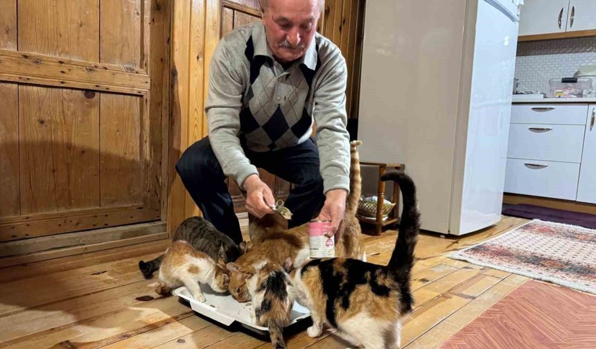 Sokak kedilerine evinin kapısını açtı, onlara yuva oldu