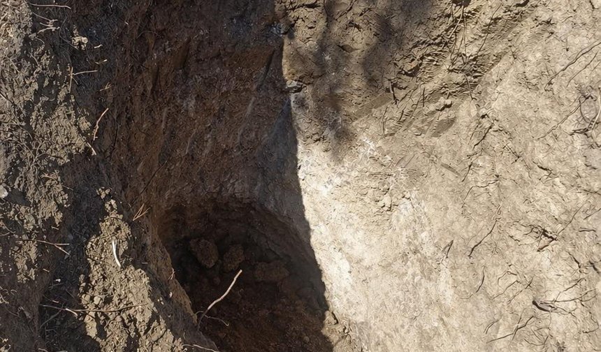 Tekirdağ'da mezarlıkta define aradılar