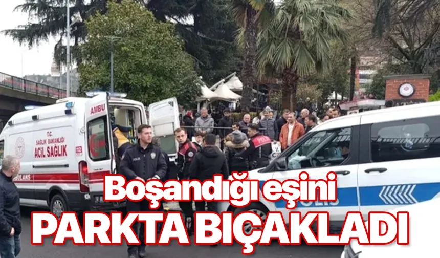 Boşandığı eski eşini parkta bıçakladı