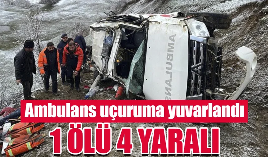 Artvin'de hasta taşıyan ambulans uçuruma yuvarlandı: 1 ölü, 4 yaralı