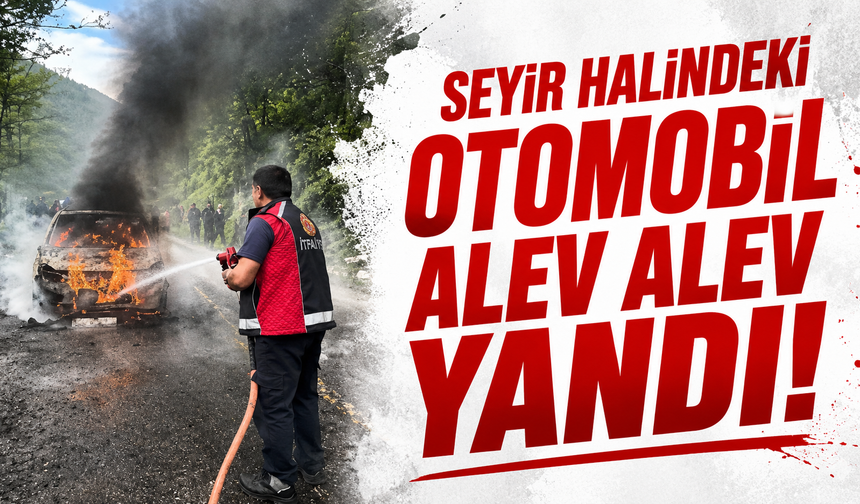 Artvin'de seyir halindeki otomobil alev alev yandı