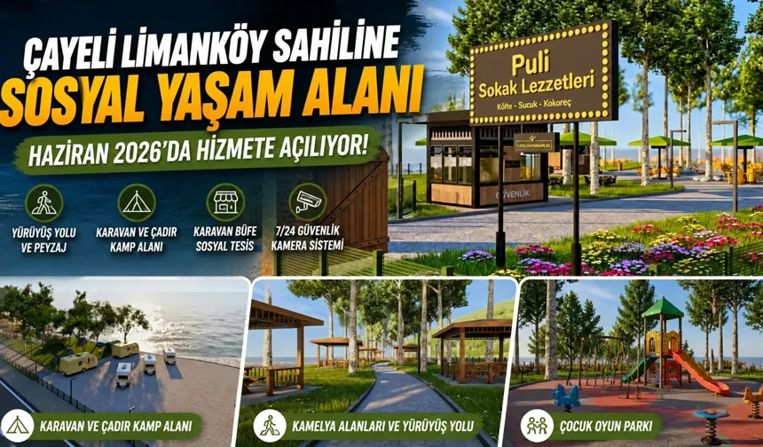 Çayeli Limanköy Sahiline Sosyal Yaşam Alanı Projesi