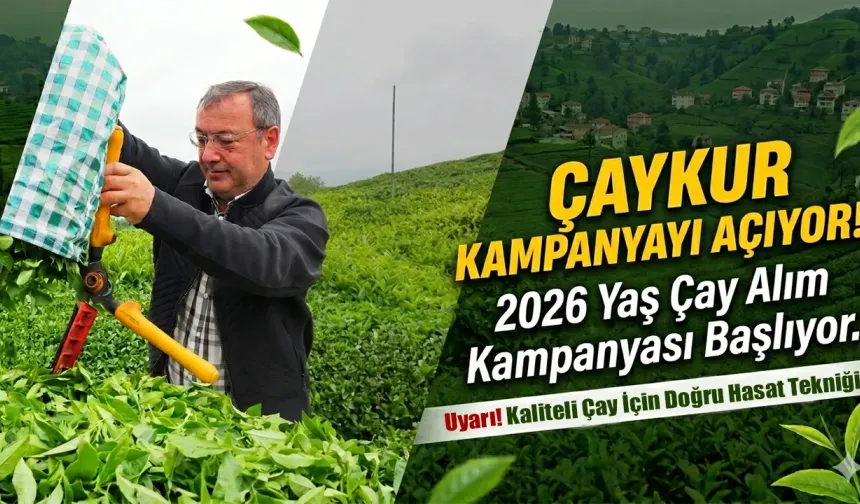 ÇAYKUR 2026 Yaş Çay Kampanyasını Açıyor