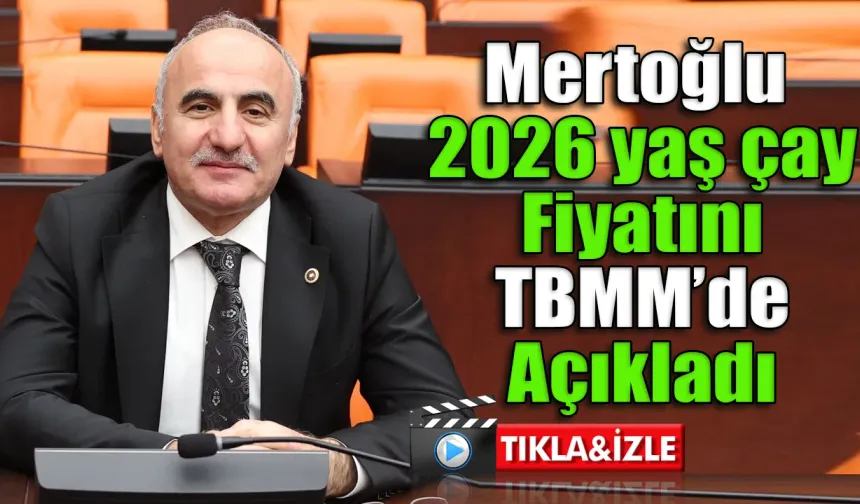 2026 yılı yaş çay fiyatı kaç lira oldu?