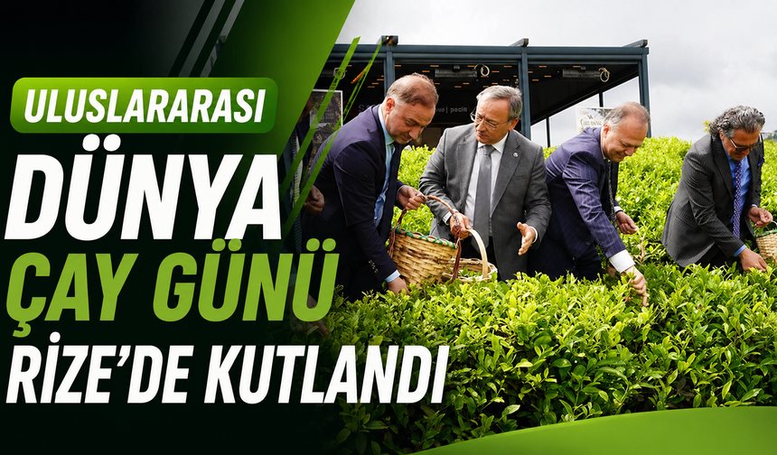 Uluslararası Dünya Çay Günü Rize'de de elle çay toplama etkinliği ile kutlandı