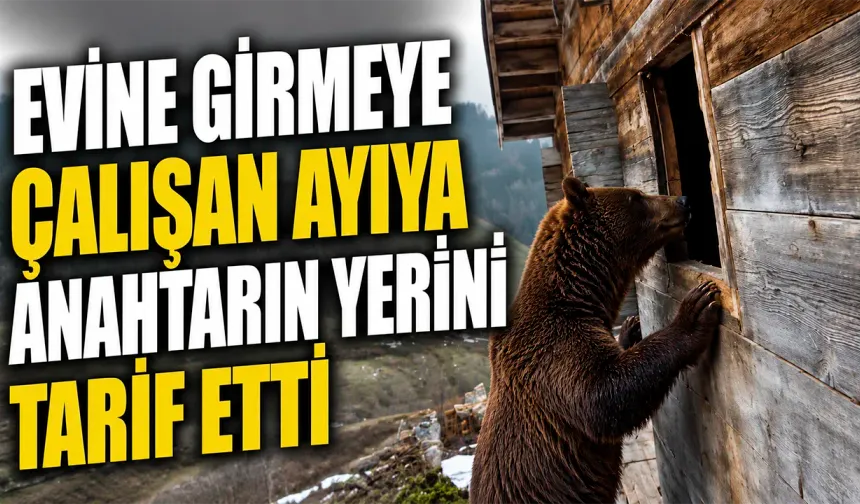 Evine girmeye çalışan ayıya anahtarın yerini tarif etti