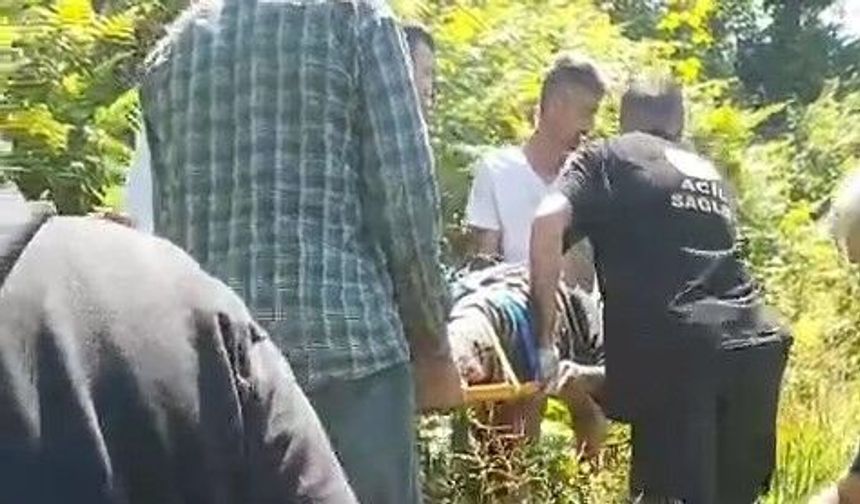 Rize'de kiraz toplamak için çıktığı ağaçtan düştü