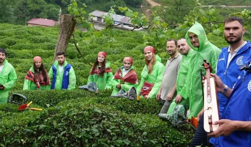 Rize'de "Gönüllü Çay Hasadı Etkinliği”