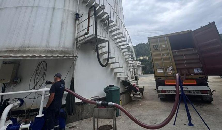 Rize’den Peru’ya  352 tonluk büyük ihracat