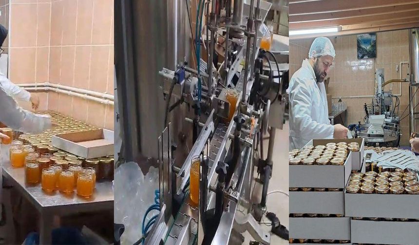 Rize'de 7 bin liralık tescilli bal sadece bu tesiste kavanozlanıyor