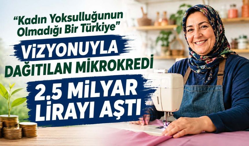 Mikrokredi 2.5 Milyar lirayı aştı